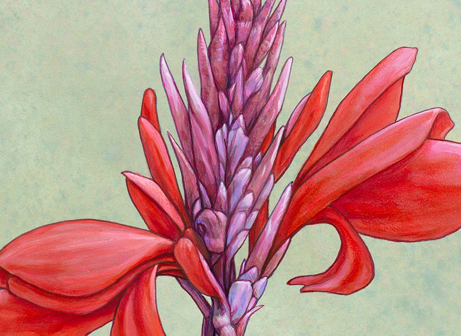 detail